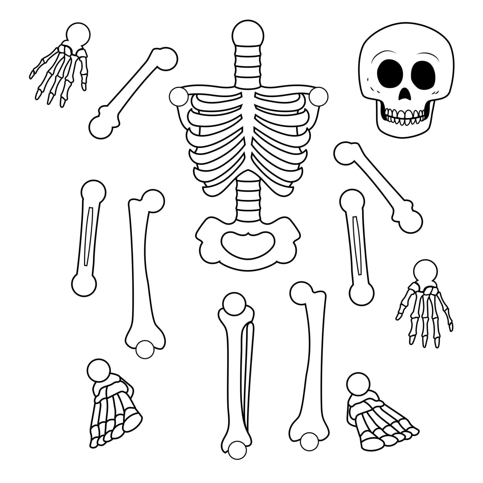 10 Best Large Printable Skeleton Template Skeleton Template Skeleton ...