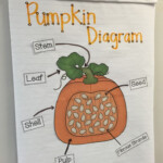 Label Parts Of A Pumpkin Luxury Going Strong In 2nd Grade It S Punkin