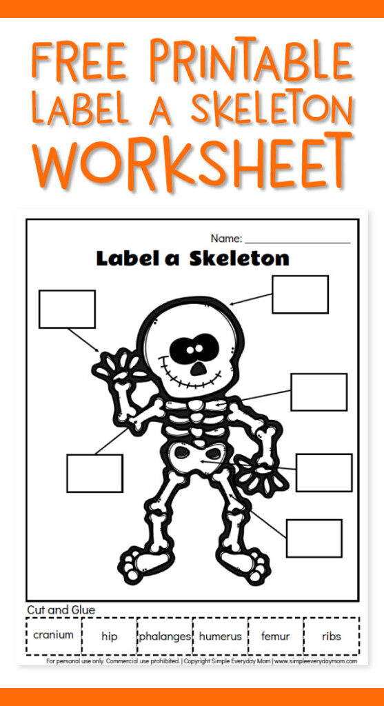 Lable Skeleton Alibaba Offers 1 761 Skeleton Labels Products 