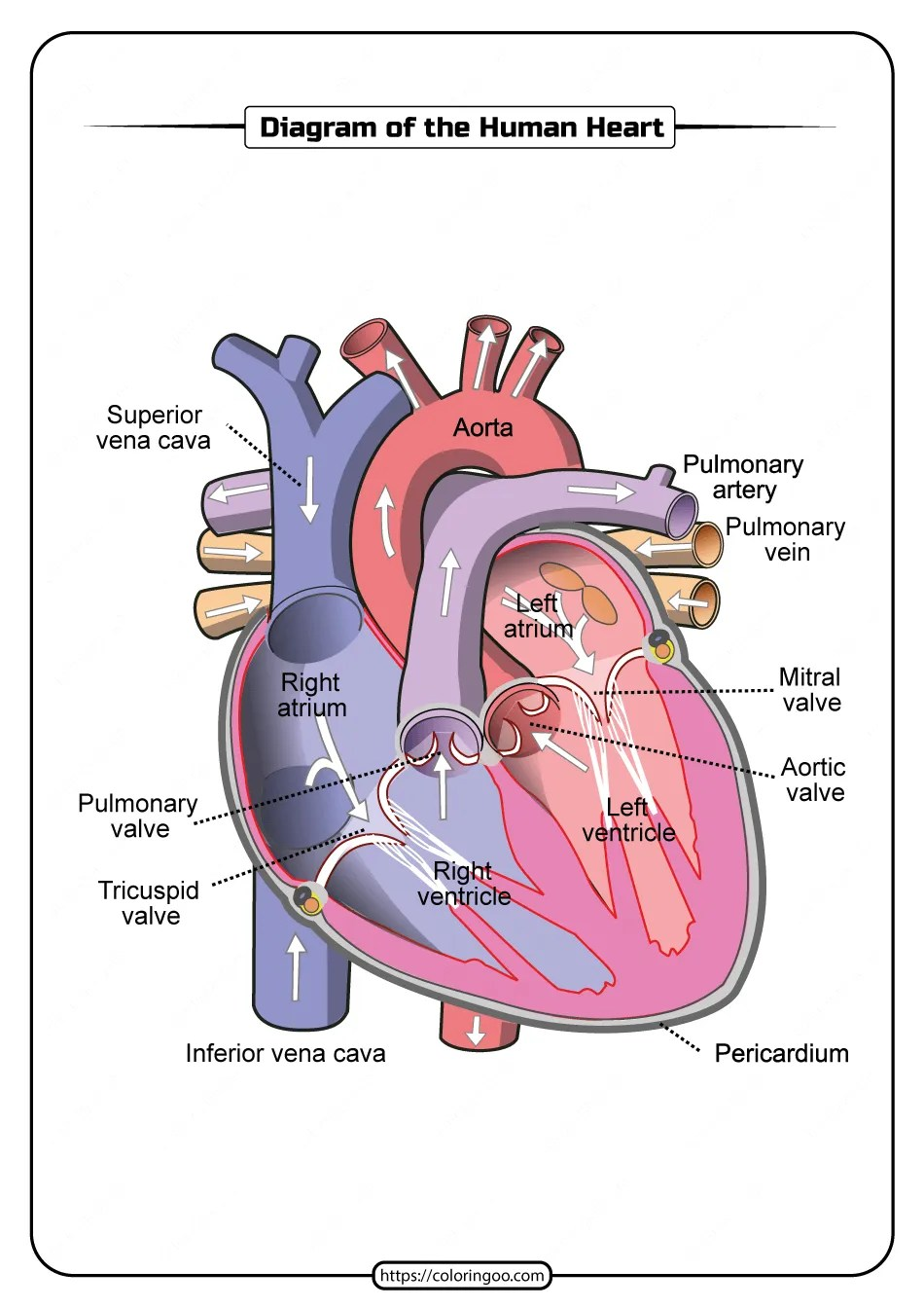 Load Wiring Printable Heart Diagram