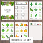 Printable Plant Labels Ubicaciondepersonas cdmx gob mx