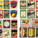 Vintage Food Labels Printable Digital Collage Instant Etsy